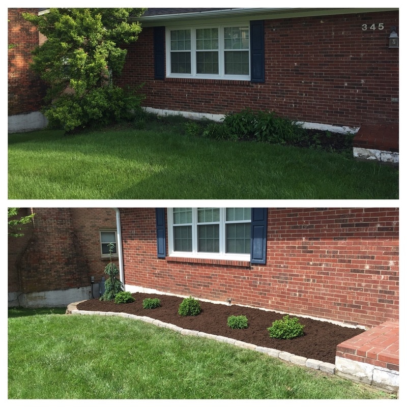 Before and after of our lawn maintenance in Lexington, KY.